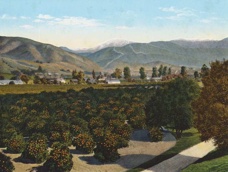 "Old Baldy" fra Pomona Valley (farvefoto) af American Photographer