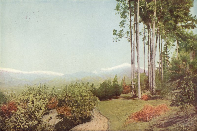 Old Baldy, fra Smiley Heights, Californien (farvet foto) af American Photographer