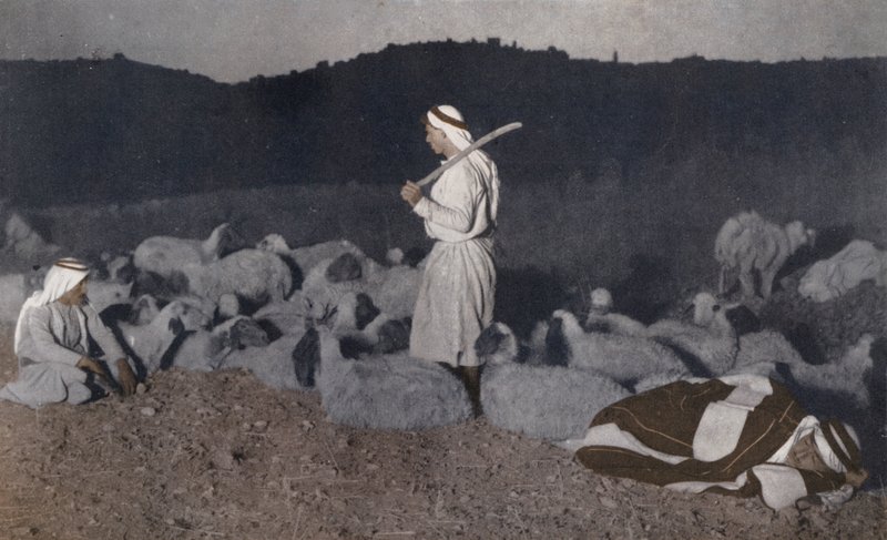 Palæstinensiske hyrder holder øje med deres flok om natten (foto i farver) af American Photographer