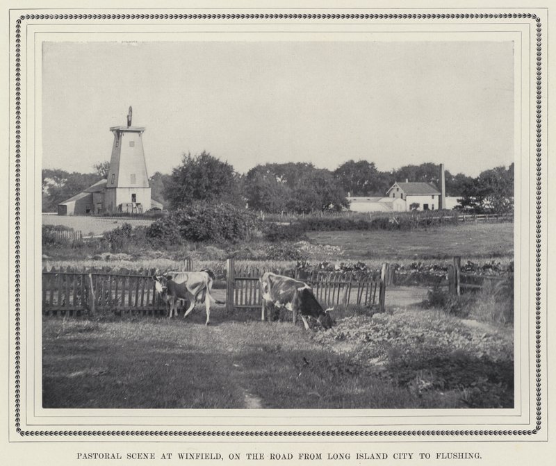 Pastoral scene ved Winfield, på vejen fra Long Island City til Flushing (s/h foto) af American Photographer