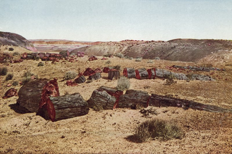 Petrified Forest, Arizona (farvet foto) af American Photographer