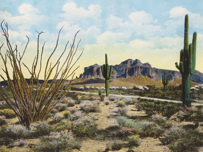 Superstition Mountain og ørkenen, "Apache Trail" (farvefoto) af American Photographer