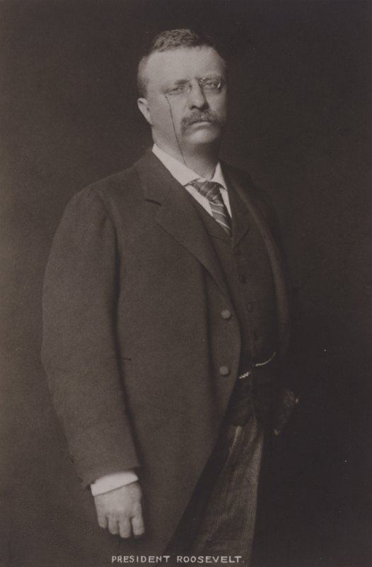 Theodore Roosevelt, 26. præsident for USA, 1904 af American Photographer
