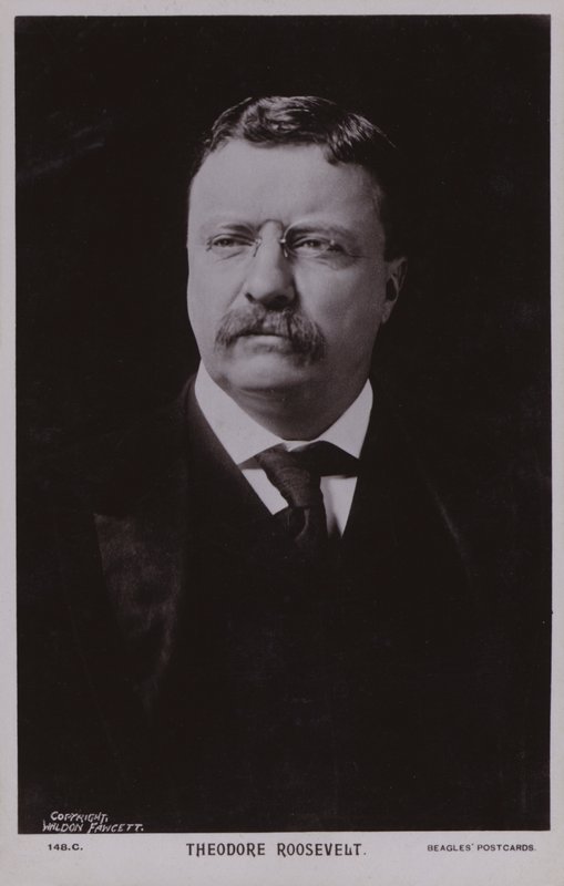 Theodore Roosevelt, amerikansk politiker og USA