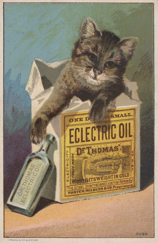 Annonce for Dr Thomas" Eclectric Oil af American School