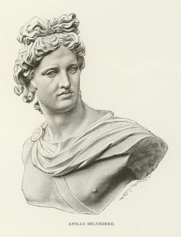 Apollo Belvedere af American School