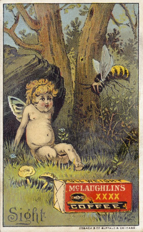 Bee angriber putto af American School