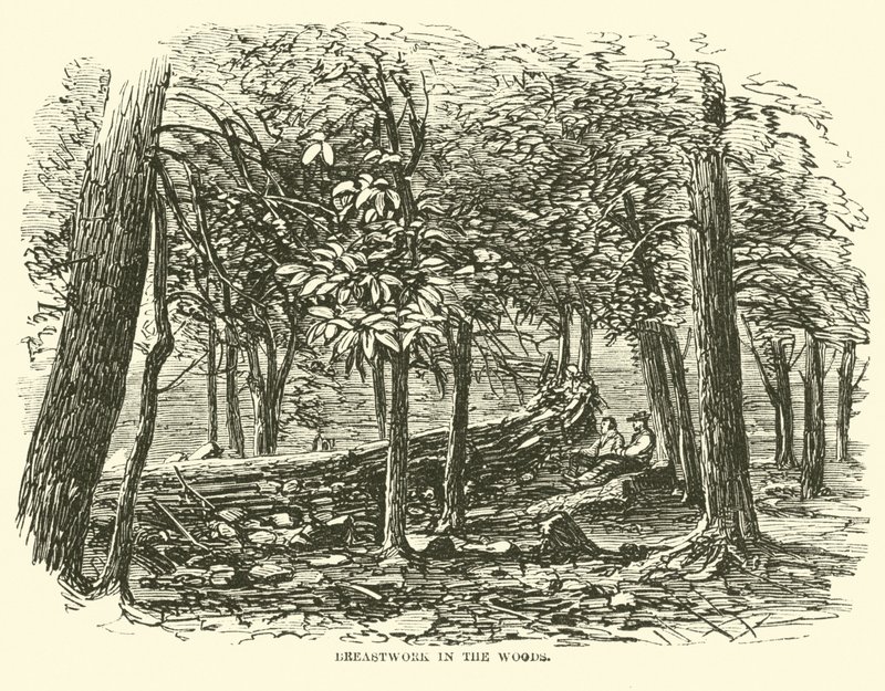 Brystarbejde i skoven, juli 1863 af American School