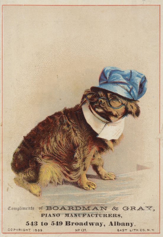 Brun hund iført hat og briller af American School