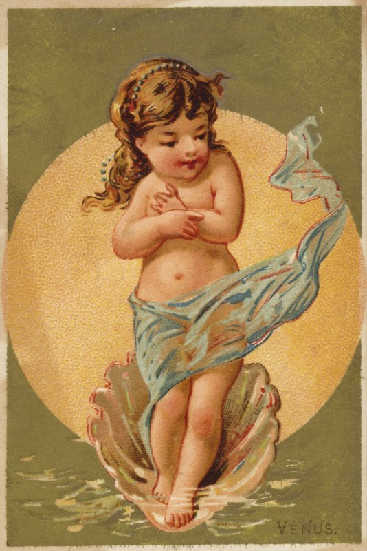 Barnet Venus af American School