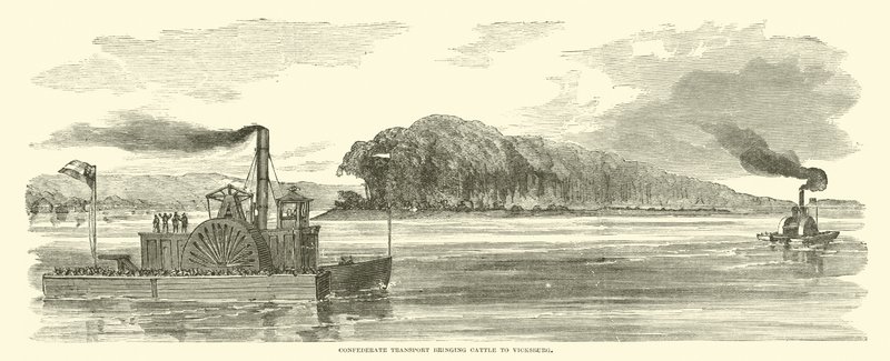 Konfødereret transport, der bringer kvæg til Vicksburg, februar 1863 af American School