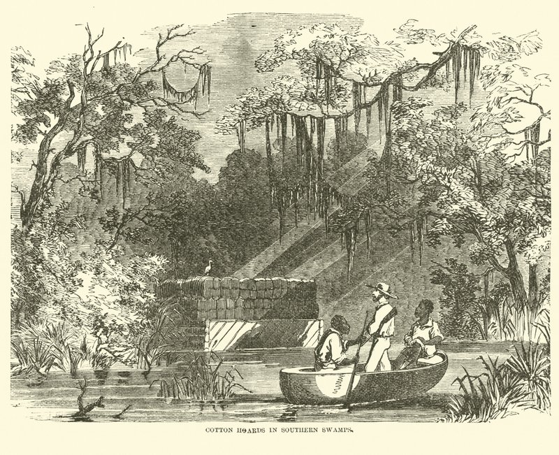 Bomuldsskatte i Southern Swamps, juli 1862 af American School