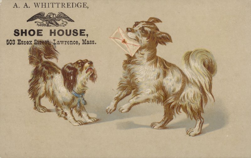 Hund holder brev i munden af American School
