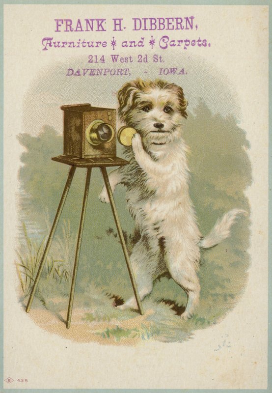 Hund med kamera af American School