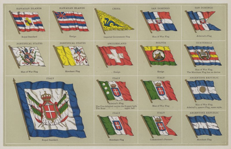 Flag af American School