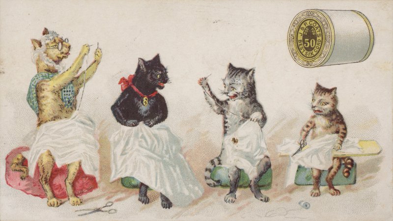 Fire travle katte, der syr af American School