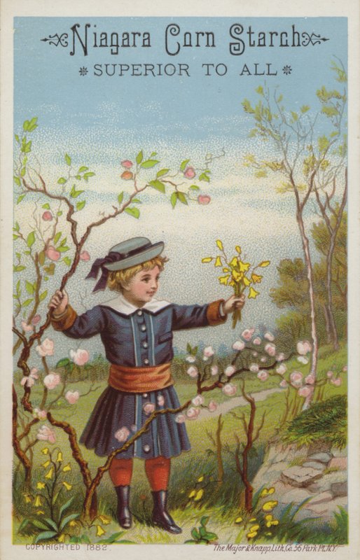 Pige, der holder bundt med blomster på landet af American School