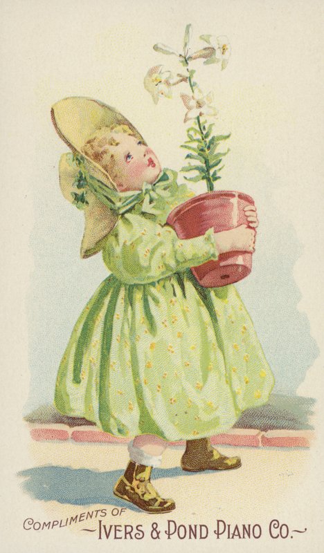 Pige holder Plant Pot af American School