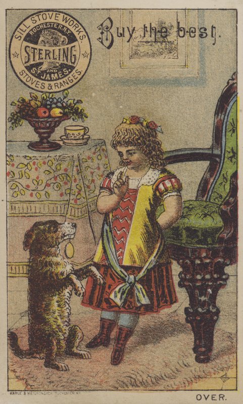 Pige lærer en hund at tigge af American School