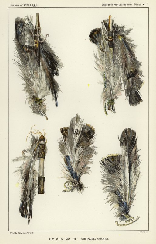 Ha-Cha-Mo-Ni with plumes attached af American School