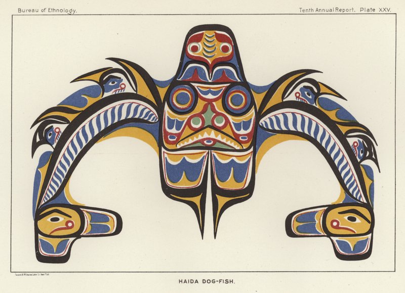 Haida Hundefisk af American School