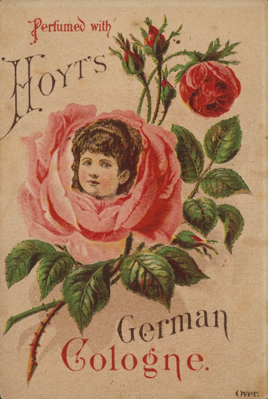 Hoyts tyske Köln af American School