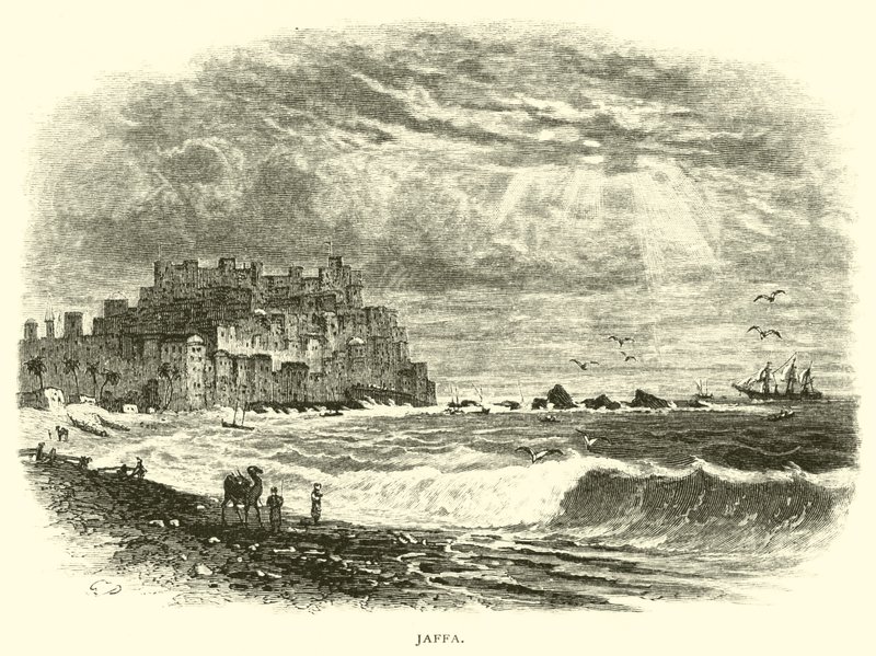 Jaffa af American School