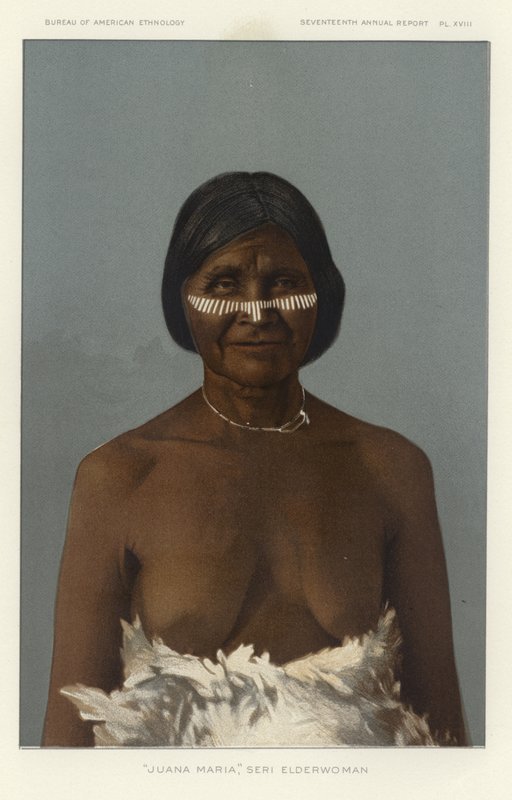 Juana Maria, Elderwoman-serien af American School