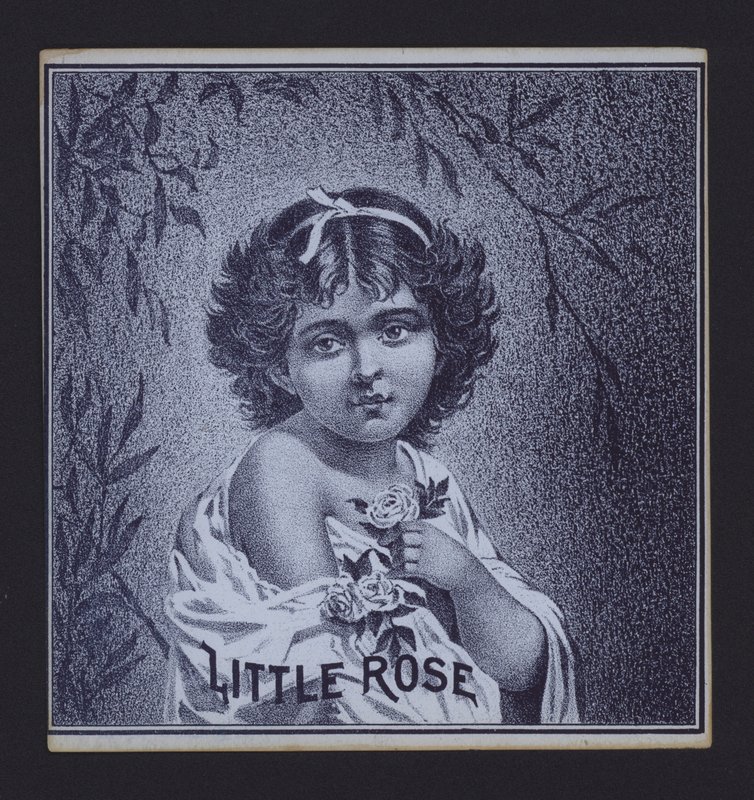 Lille rose, cigaretiket (litho) af American School