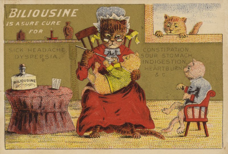 Medicintid for kattene af American School