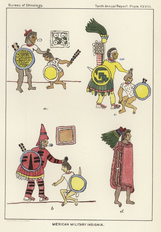 Mexicanske militære insignier af American School