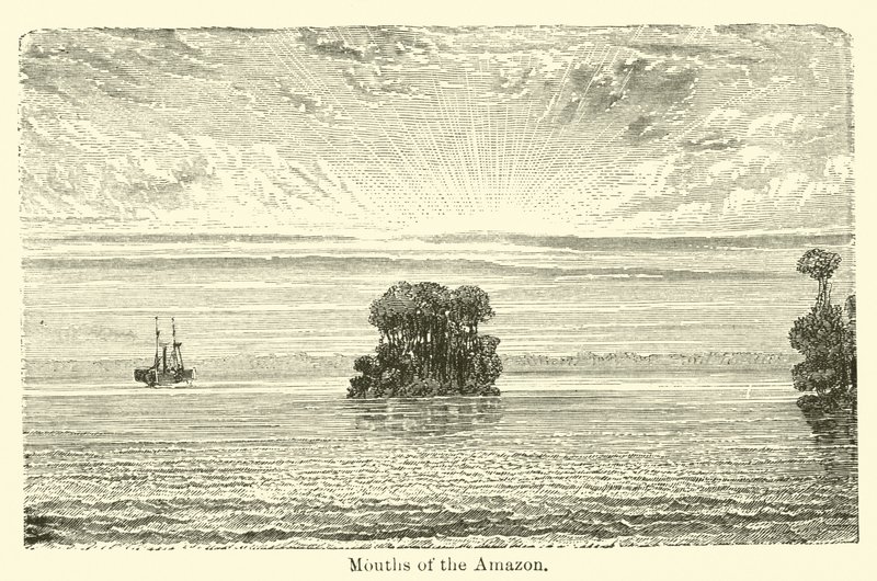 Amazonas munde af American School