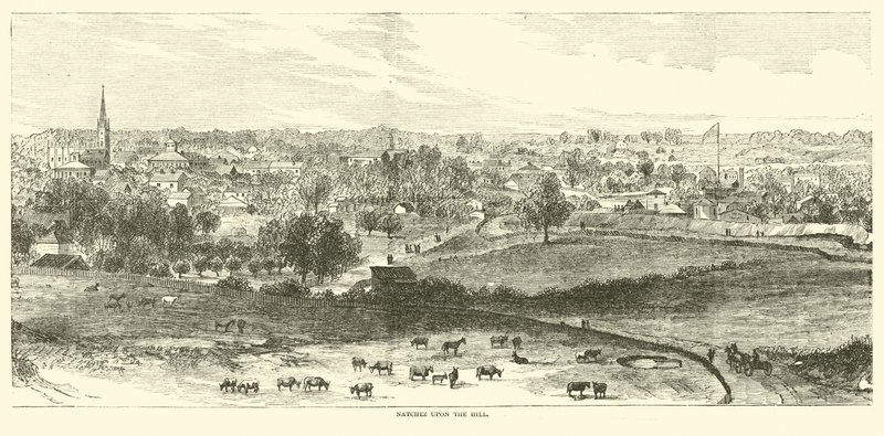 Natchez upon the hill, maj 1862 af American School