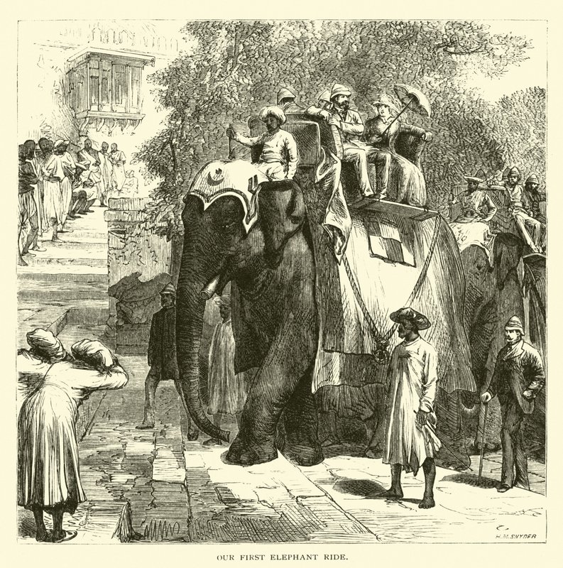 Vores første tur på elefant af American School