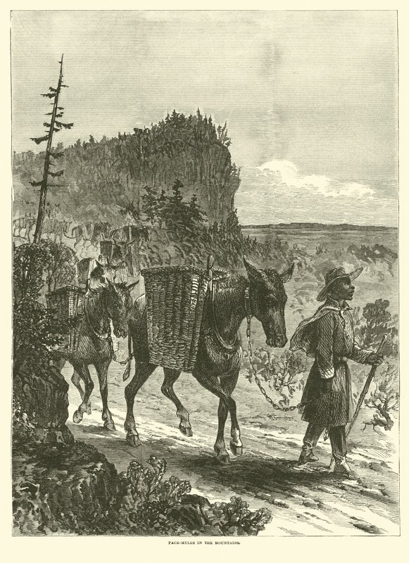 Pak-muldyr i bjergene, februar 1863 af American School