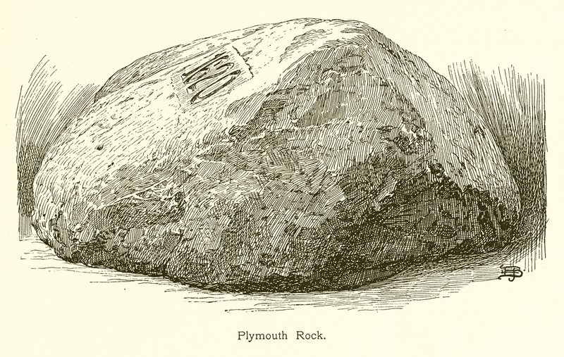 Plymouth Rock af American School