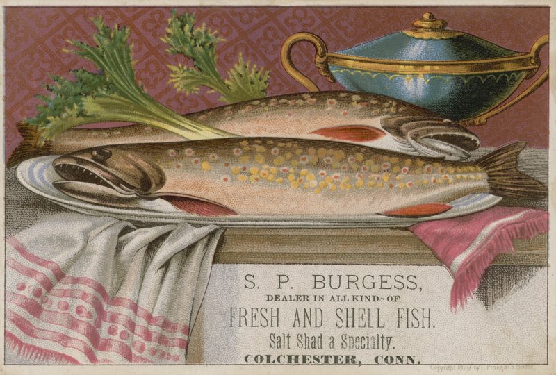 S P Burgess, handelskort af American School