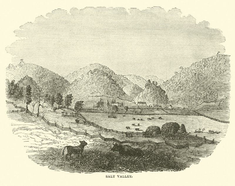 Saltdalen, december 1864 af American School