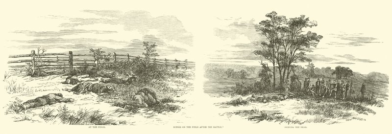 Scener på banen efter slaget, september 1862 af American School