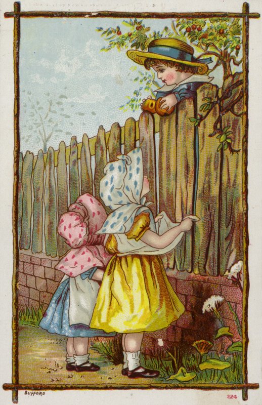 Scrumping For Æbler af American School