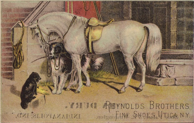 Tøjret hest med fårehund af American School