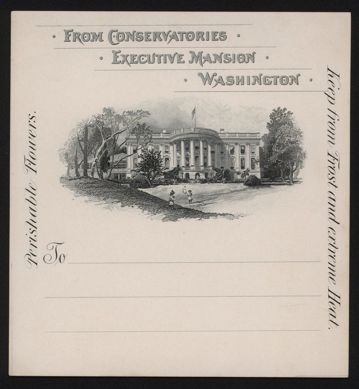 Det Hvide Hus, Washington DC, USA (litho) af American School