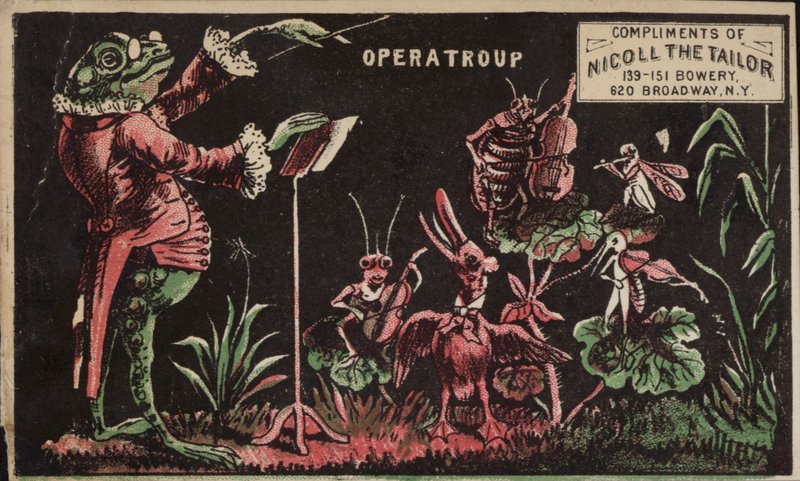 Toad conducting Insect Band af American School