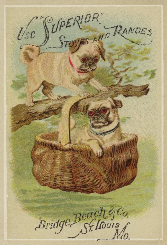 To hunde og kurv af American School