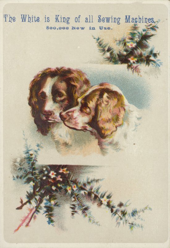 To hundehoveder sammen af American School
