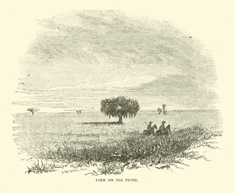 Udsigt på Teche, april 1863 af American School