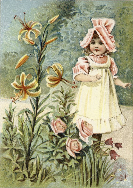 We can talk, said the tiger-lily  af American School