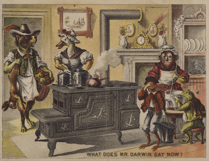 Hvad siger hr. Darwin nu? (chromolitho) af American School