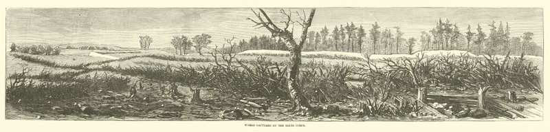 Værker fanget af det sjette korps, april 1865 af American School