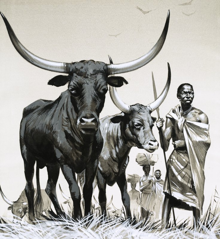 Ankole-kvæg af Angus McBride